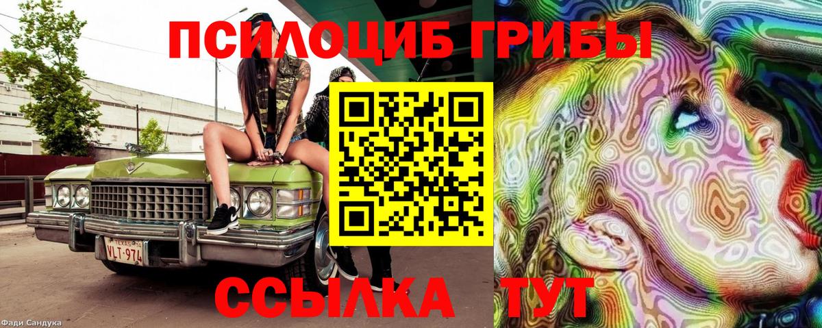 Шадринск  Псилоцибиновые грибы мухоморы  как найти наркотики  Вход с VPN 