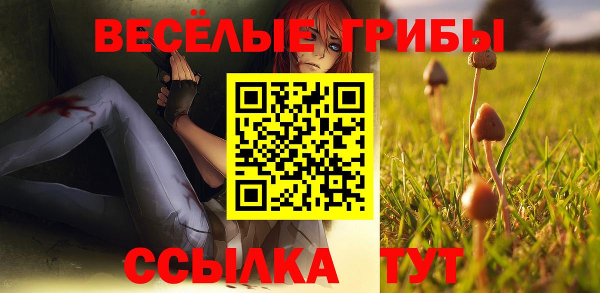 Псилоцибиновые грибы Magic Shrooms Шадринск